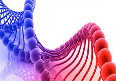 千黛斯效果 千黛斯效果